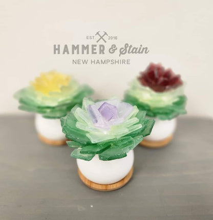 Sea Glass Succulent Add On