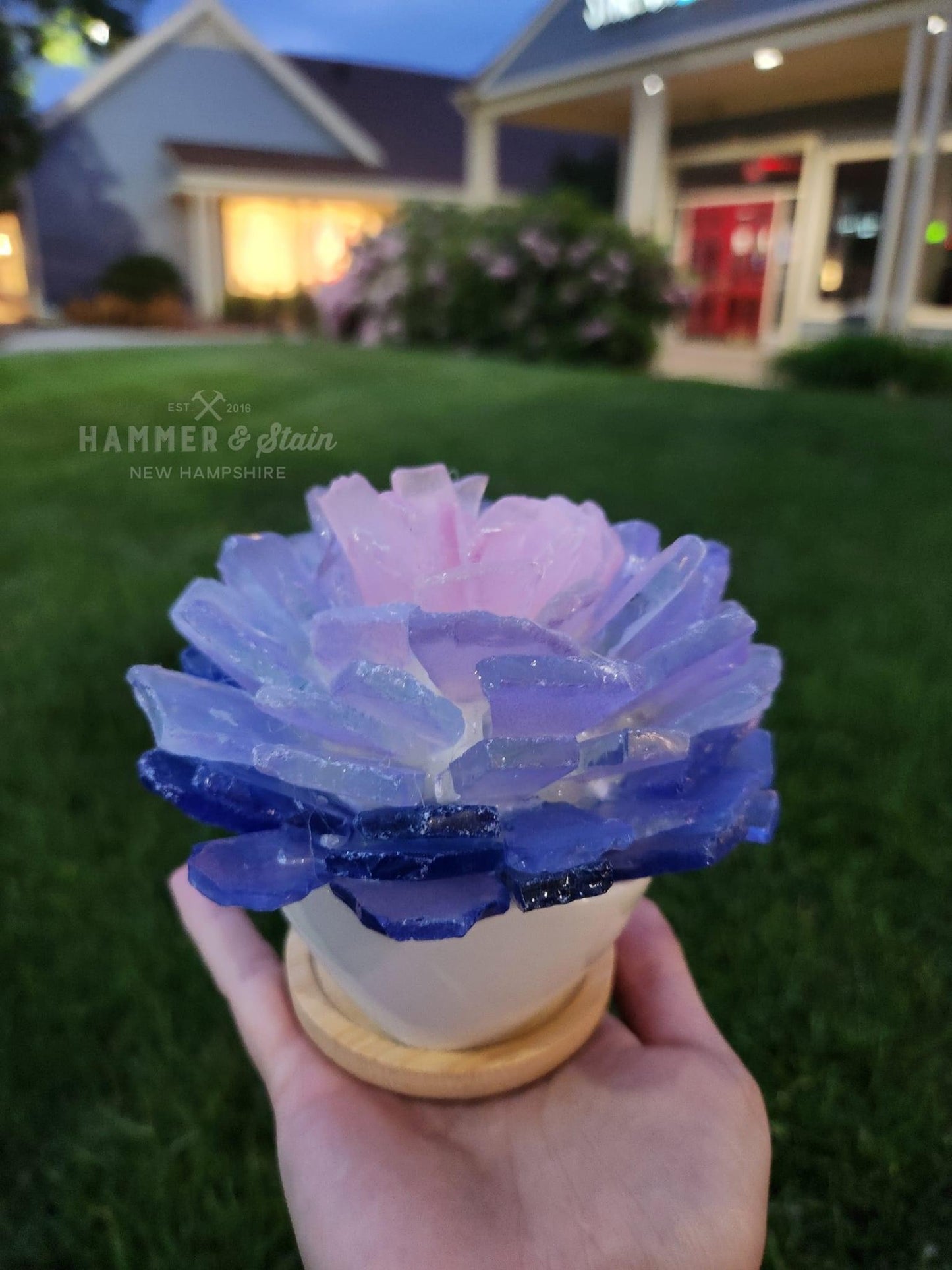 Sea Glass Succulent Add On