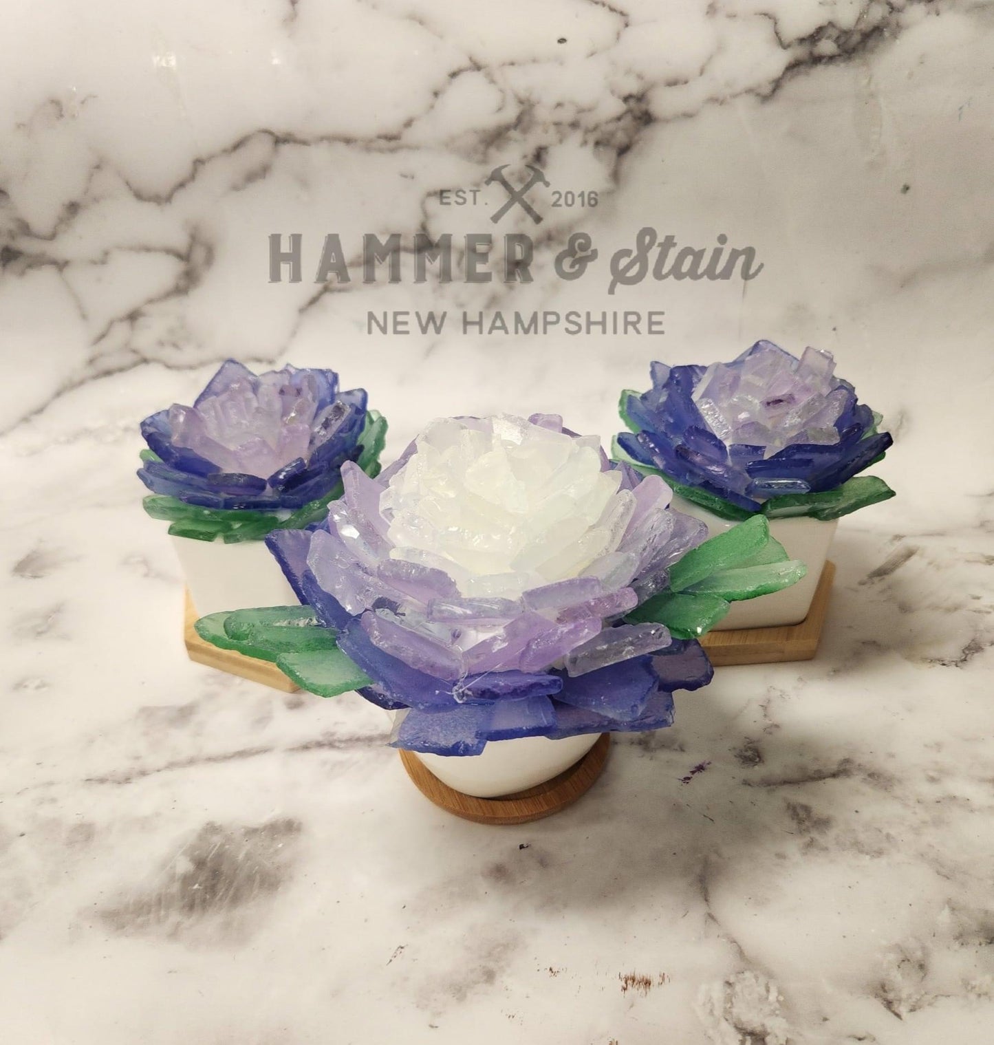 Sea Glass Succulent Add On