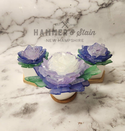 Sea Glass Succulent Add On