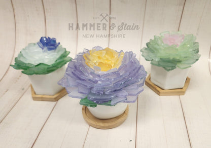 Sea Glass Succulent Add On